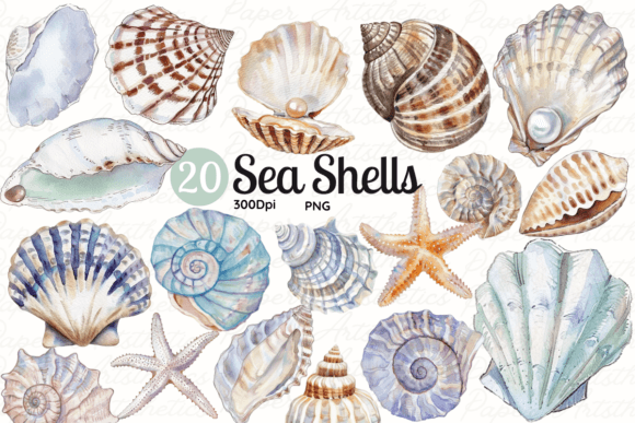 Download Seashell Clipart Sea Shell Illustrations - Illustrations Collection